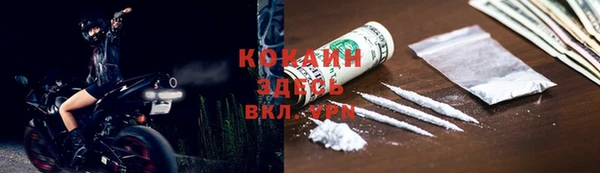 прущие крисы Белокуриха