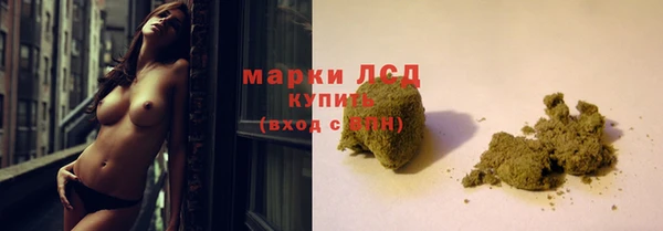 ПСИЛОЦИБИНОВЫЕ ГРИБЫ Беломорск