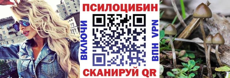 Псилоцибиновые грибы ЛСД  дарнет шоп  гидра   Ужур 